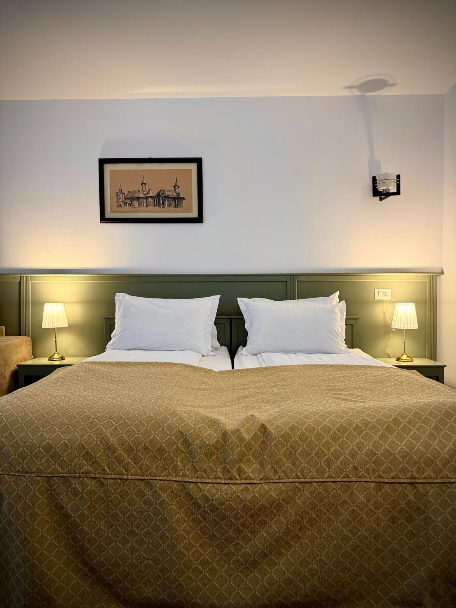 Hotel & Restaurant Sofia ซูเจวิตซา ภายนอก รูปภาพ
